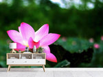 Fototapete Lotus in der Natur