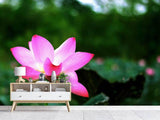 Fototapete Lotus in der Natur