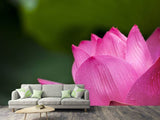Fototapete Marko Lotus in pink