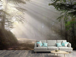 Fototapete Mystisches Licht im Wald
