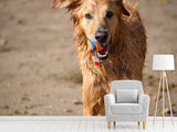 Fototapete Nasser Hund