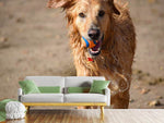 Fototapete Nasser Hund