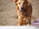 Fototapete Nasser Hund