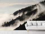 Fototapete Nebel in den Wälder