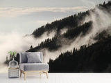 Fototapete Nebel in den Wälder