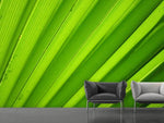 Fototapete Palm Streifen 2