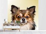 Fototapete Pop Art Hunde Portrait
