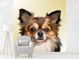Fototapete Pop Art Hunde Portrait