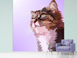 Fototapete Pop Art Katzen Portrait