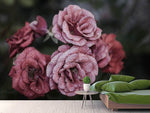 Fototapete Romantische Rosen