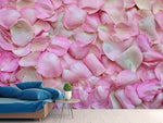 Fototapete Rosenblüten in rosa