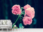 Fototapete Schöne Rosa Rosen
