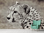 Fototapete Schöner Gepard