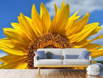 Fototapete Sonnenblume in XXL