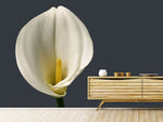 Fototapete Stolze Calla