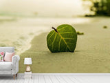 Fototapete Strand-Blatt