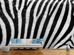 Fototapete Streifen vom Zebra