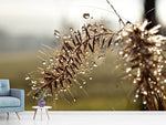 Fototapete Tropfen der Natur