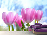 Fototapete Tulpen in der Natur