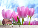 Fototapete Tulpen in der Natur