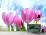 Fototapete Tulpen in der Natur