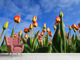 Fototapete Tulpen ragen zum Himmel
