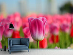 Fototapete Tulpenfeld in rosa-rot