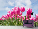 Fototapete Tulpenfeld in rosa