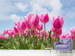 Fototapete Tulpenfeld in rosa