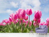 Fototapete Tulpenfeld in rosa