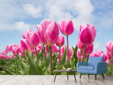 Fototapete Tulpenfeld in rosa