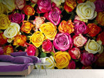 Fototapete Viele bunte Rosenblüten