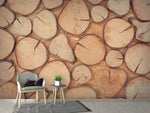 Fototapete Wand Bäume
