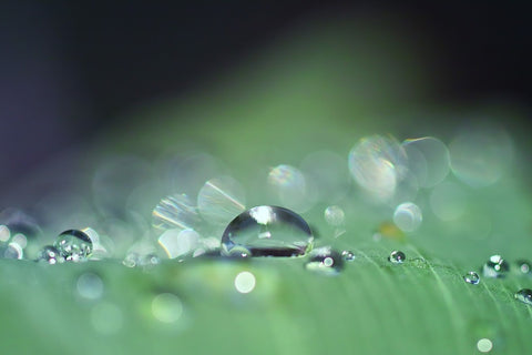 Fototapete Wassertropfen in XXL