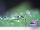 Fototapete Wassertropfen in XXL