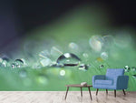Fototapete Wassertropfen in XXL