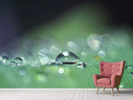 Fototapete Wassertropfen in XXL