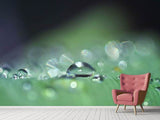Fototapete Wassertropfen in XXL