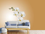 Fototapete Weisse Orchideen XL