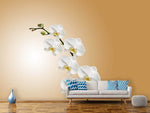 Fototapete Weisse Orchideen XL