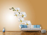 Fototapete Weisse Orchideen XL