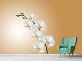 Fototapete Weisse Orchideen XL