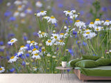 Fototapete Wilde Blumenwiese