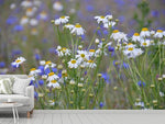 Fototapete Wilde Blumenwiese