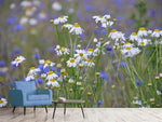 Fototapete Wilde Blumenwiese