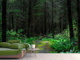 Fototapete Wilder Wald