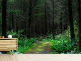 Fototapete Wilder Wald