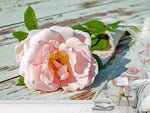 Fototapete Wildrose in rosa