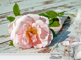 Fototapete Wildrose in rosa