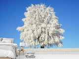 Fototapete Winter Baum